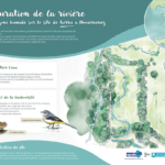 Illustrateur naturaliste
